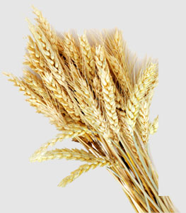 首页| 402cc永利集团中国区官方网站