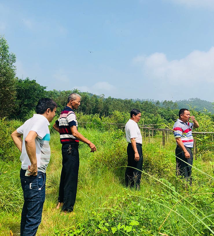 首页| 402cc永利集团中国区官方网站