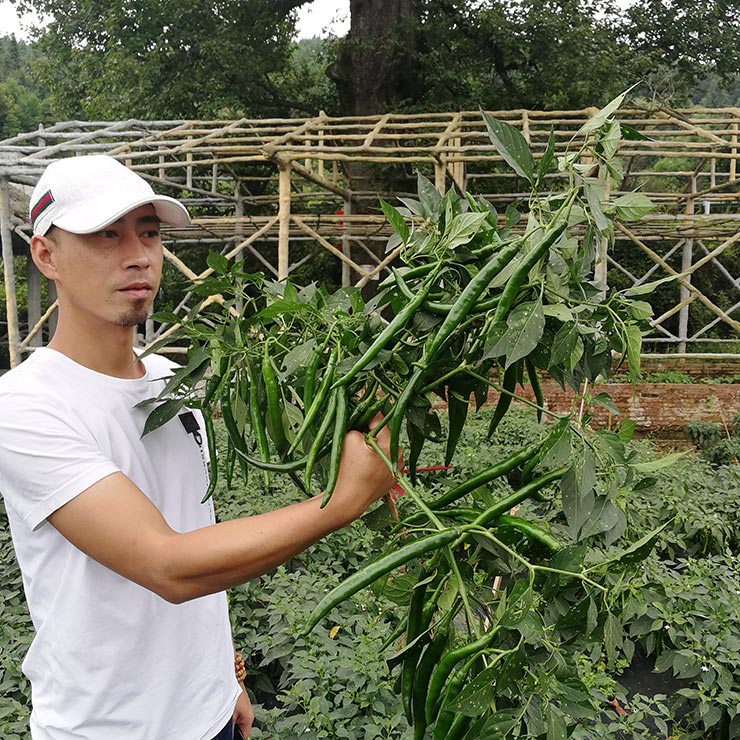 首页| 402cc永利集团中国区官方网站