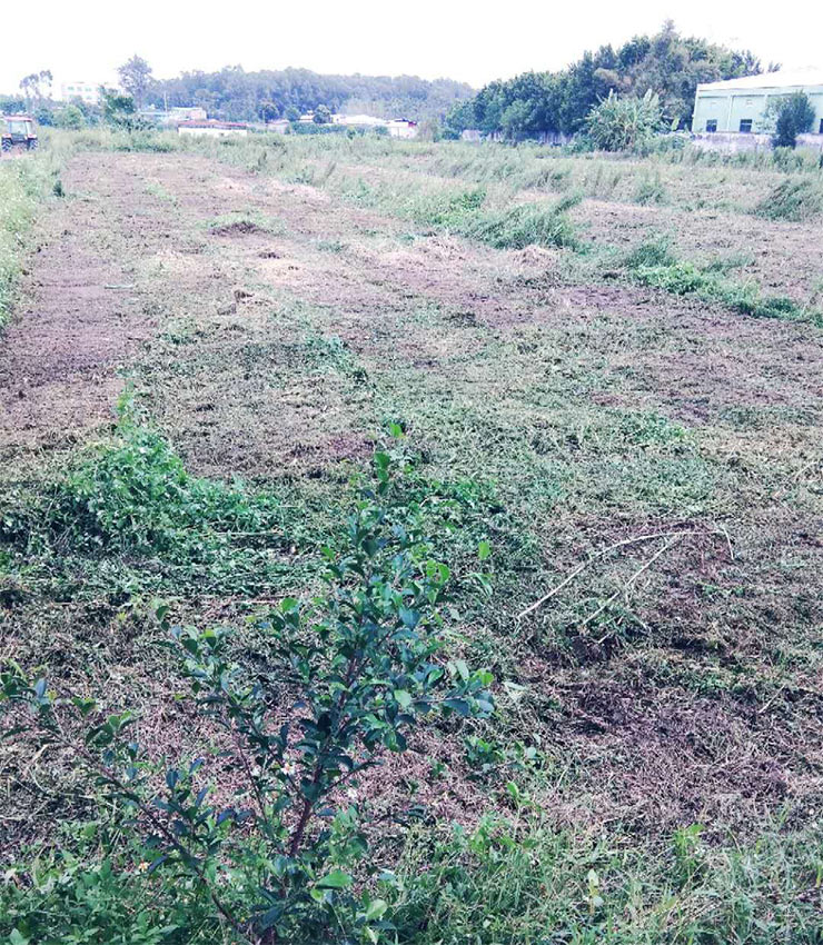 首页| 402cc永利集团中国区官方网站