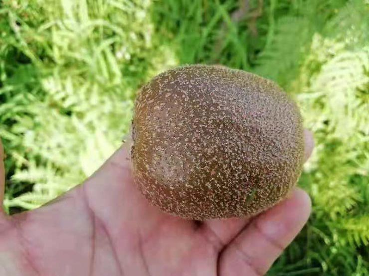 首页| 402cc永利集团中国区官方网站