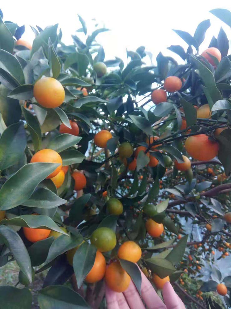 首页| 402cc永利集团中国区官方网站