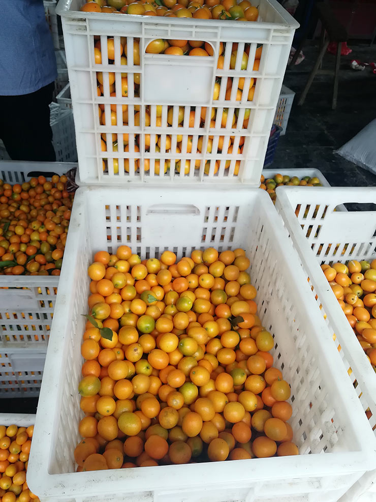 首页| 402cc永利集团中国区官方网站