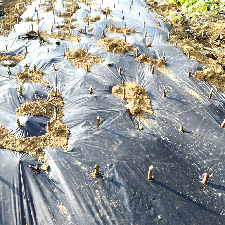 首页| 402cc永利集团中国区官方网站