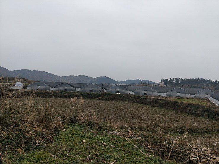 首页| 402cc永利集团中国区官方网站