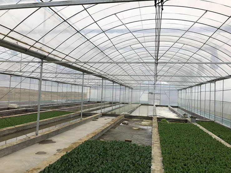 首页| 402cc永利集团中国区官方网站