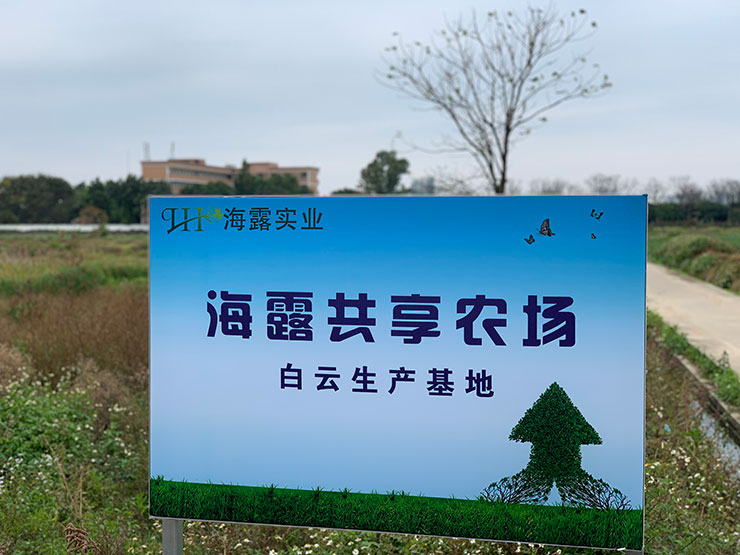 首页| 402cc永利集团中国区官方网站