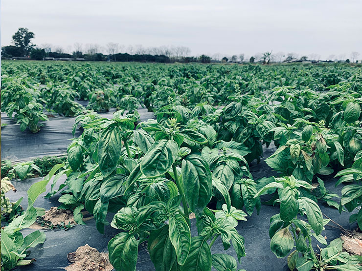 首页| 402cc永利集团中国区官方网站