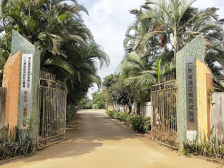 首页| 402cc永利集团中国区官方网站