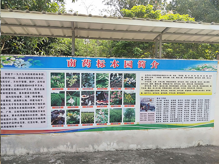 首页| 402cc永利集团中国区官方网站