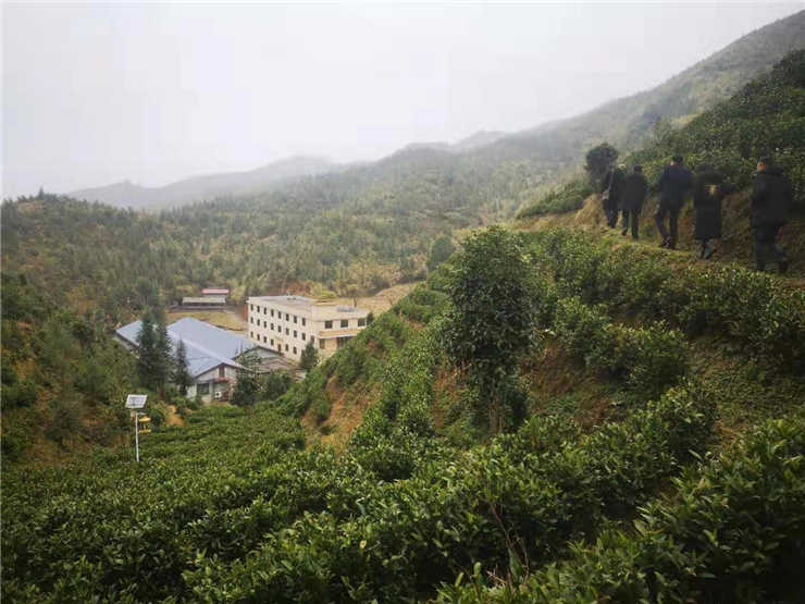 首页| 402cc永利集团中国区官方网站