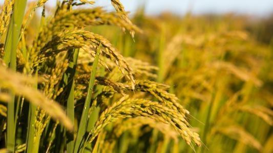 首页| 402cc永利集团中国区官方网站