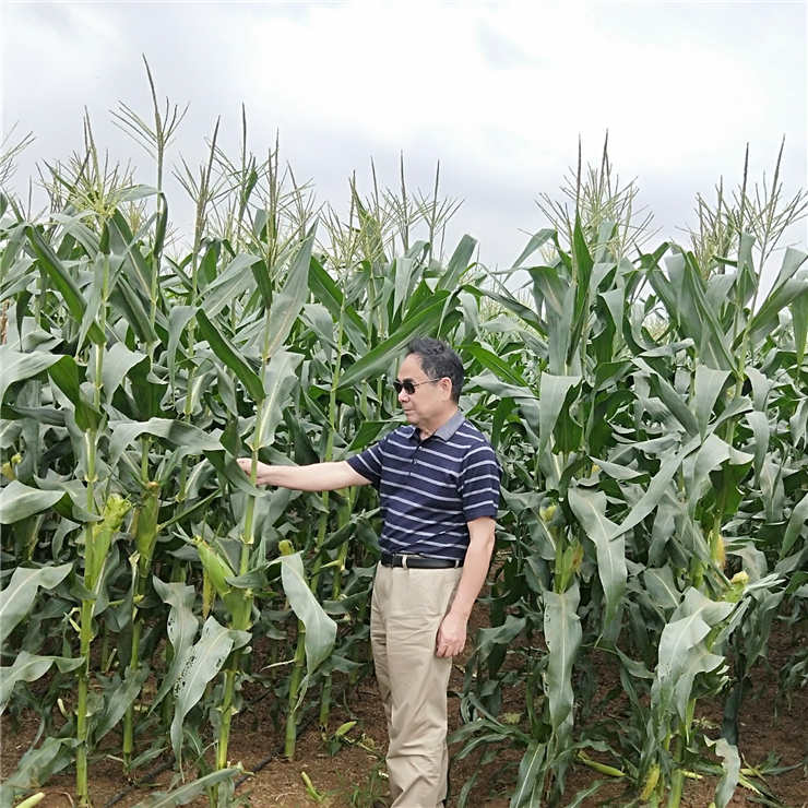 首页| 402cc永利集团中国区官方网站