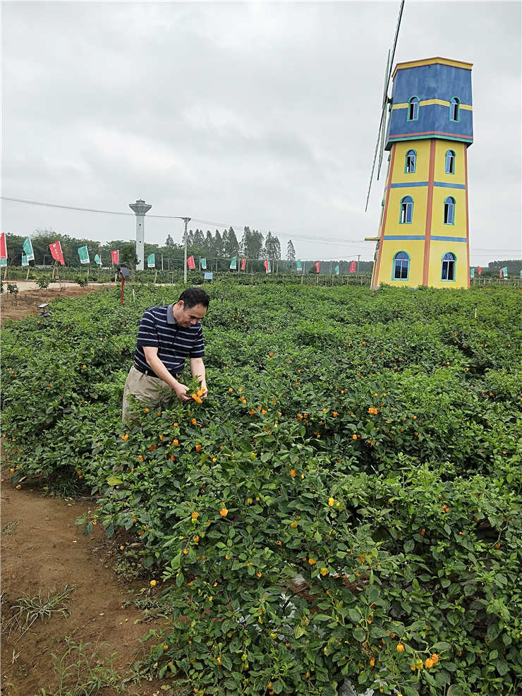 首页| 402cc永利集团中国区官方网站