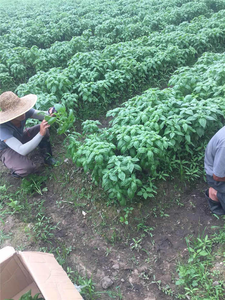 首页| 402cc永利集团中国区官方网站