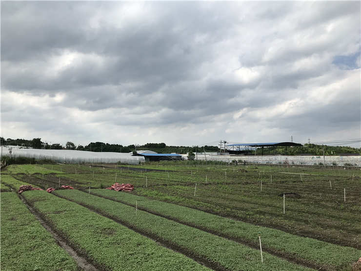 首页| 402cc永利集团中国区官方网站