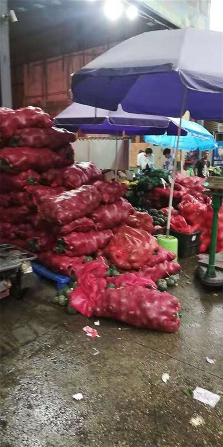 首页| 402cc永利集团中国区官方网站