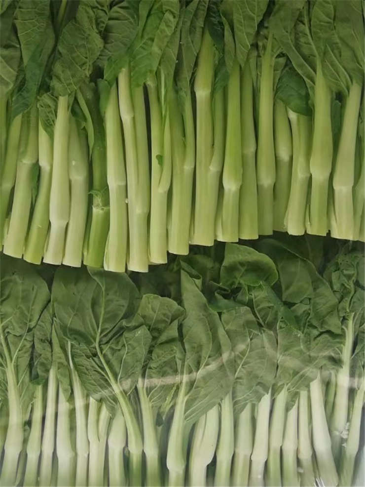 首页| 402cc永利集团中国区官方网站