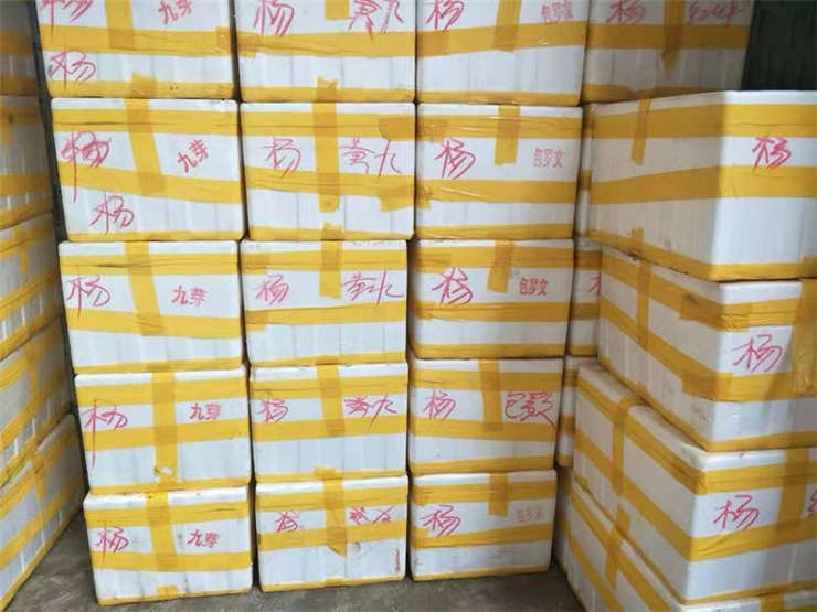 首页| 402cc永利集团中国区官方网站