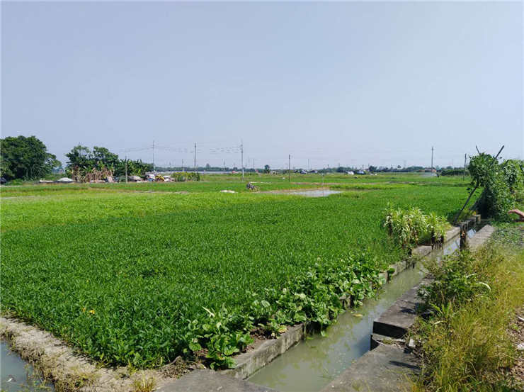 首页| 402cc永利集团中国区官方网站