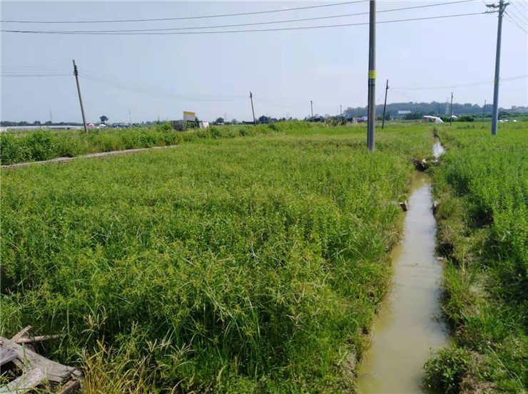 首页| 402cc永利集团中国区官方网站