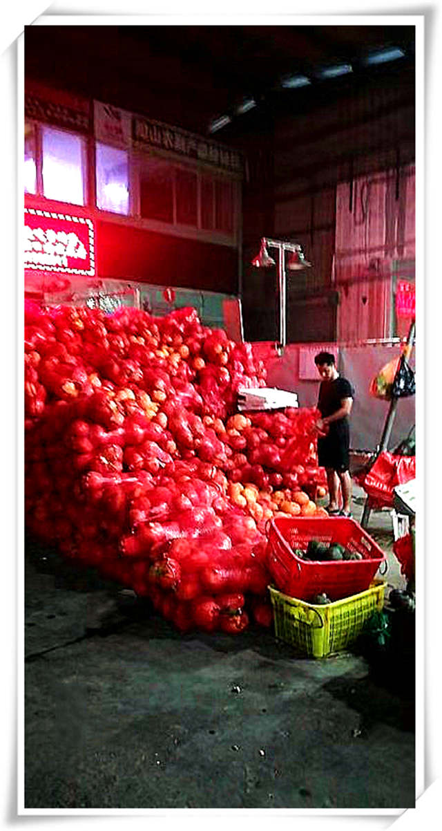 首页| 402cc永利集团中国区官方网站