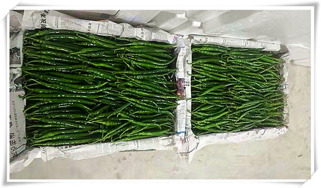 首页| 402cc永利集团中国区官方网站