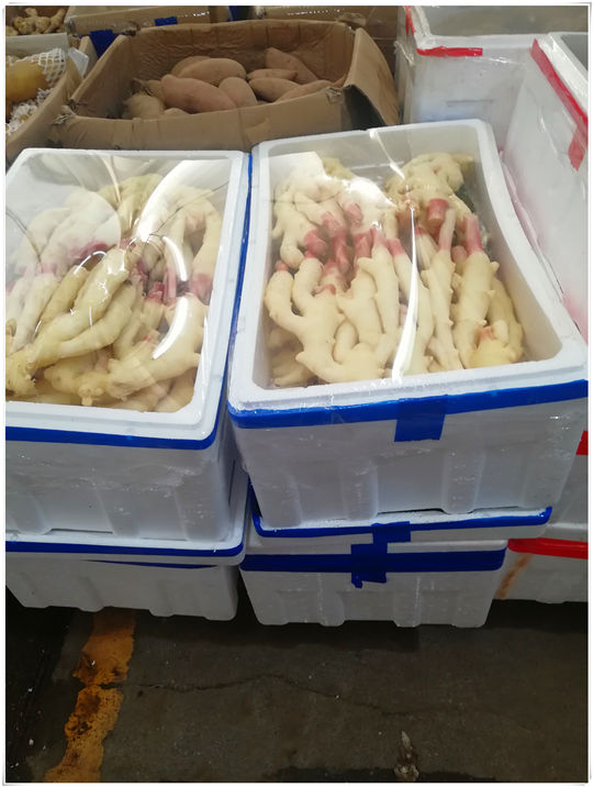 首页| 402cc永利集团中国区官方网站