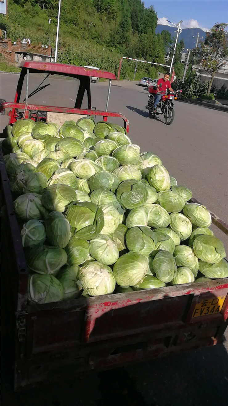 首页| 402cc永利集团中国区官方网站