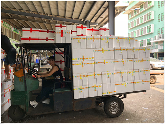 首页| 402cc永利集团中国区官方网站