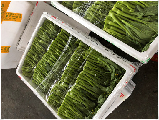 首页| 402cc永利集团中国区官方网站