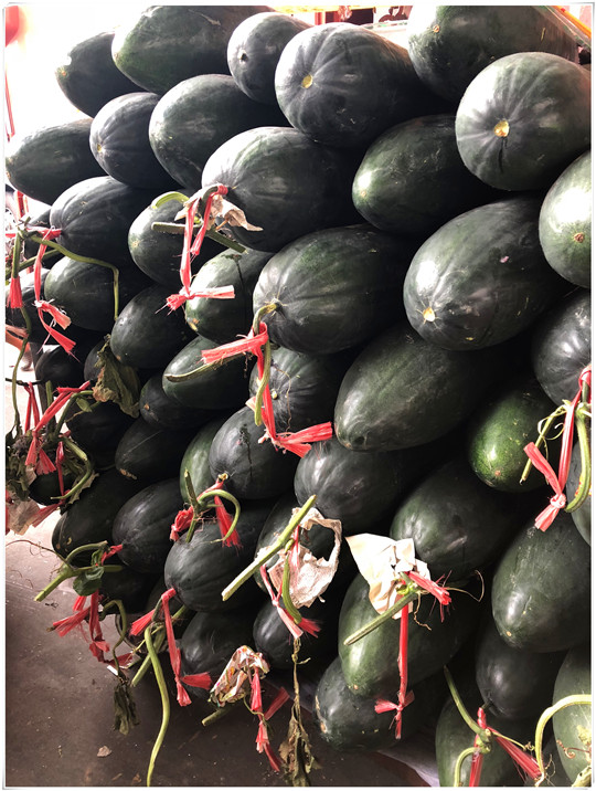 首页| 402cc永利集团中国区官方网站