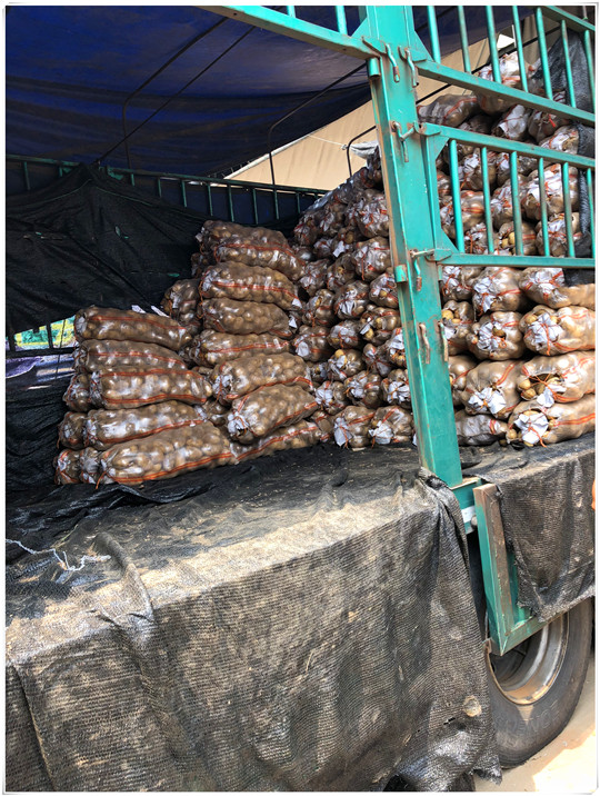 首页| 402cc永利集团中国区官方网站