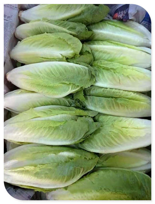 首页| 402cc永利集团中国区官方网站