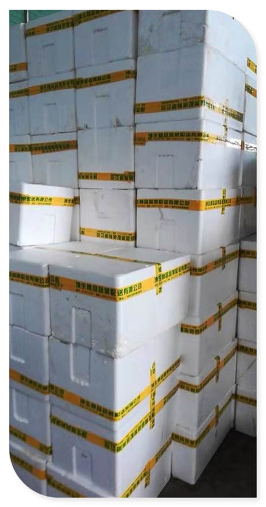 首页| 402cc永利集团中国区官方网站