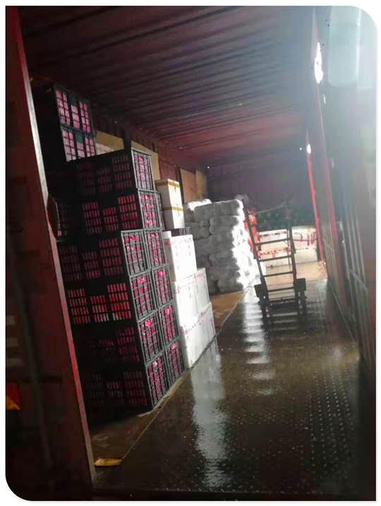 首页| 402cc永利集团中国区官方网站