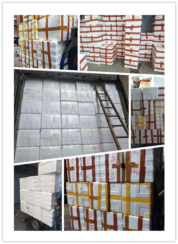 首页| 402cc永利集团中国区官方网站