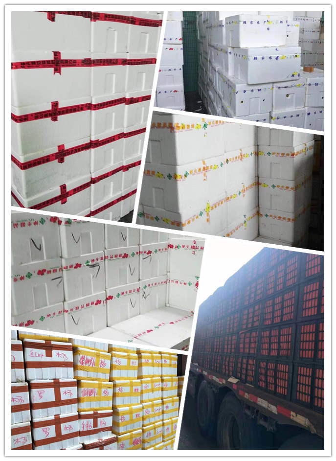 首页| 402cc永利集团中国区官方网站