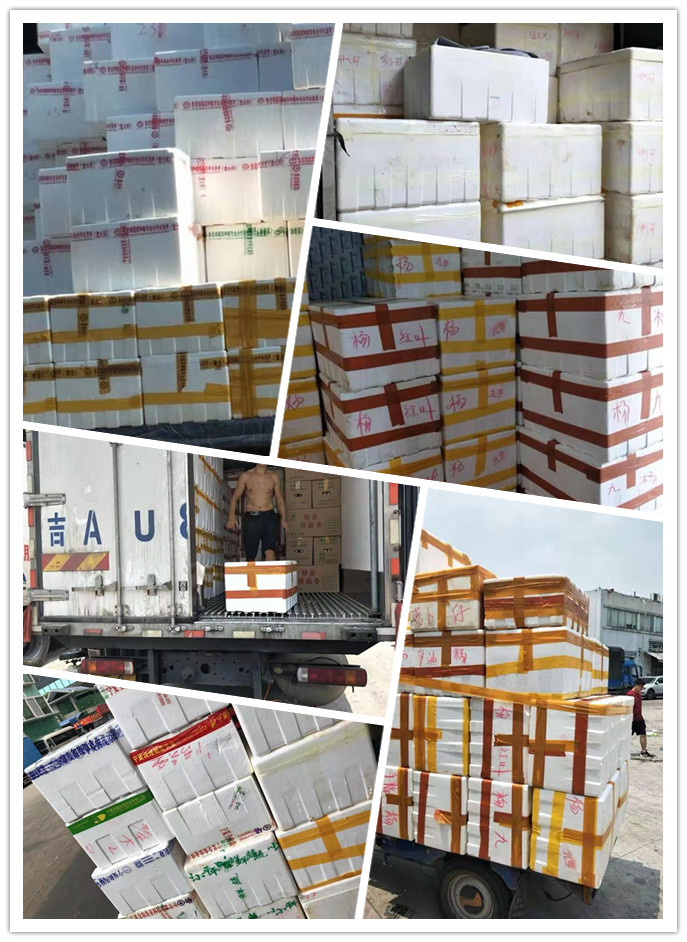 首页| 402cc永利集团中国区官方网站