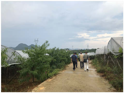 首页| 402cc永利集团中国区官方网站