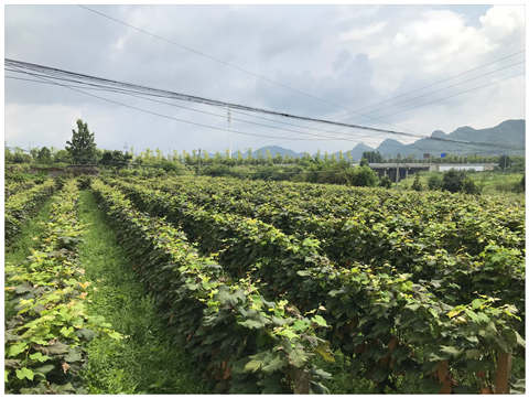 首页| 402cc永利集团中国区官方网站