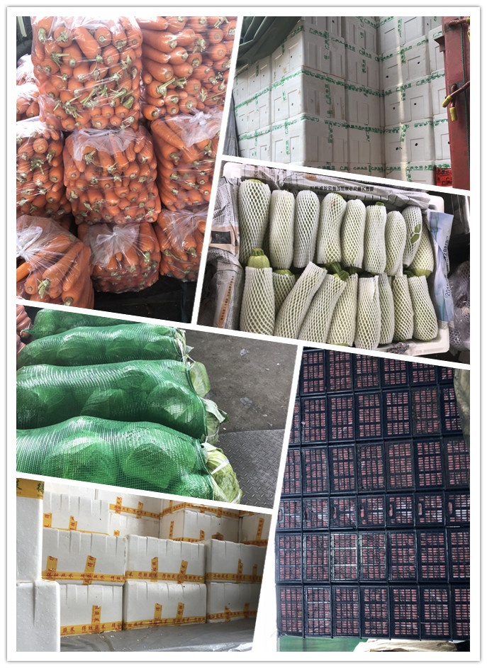 首页| 402cc永利集团中国区官方网站