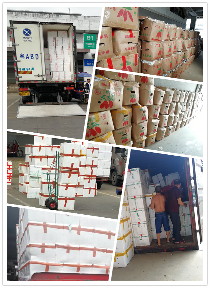 首页| 402cc永利集团中国区官方网站