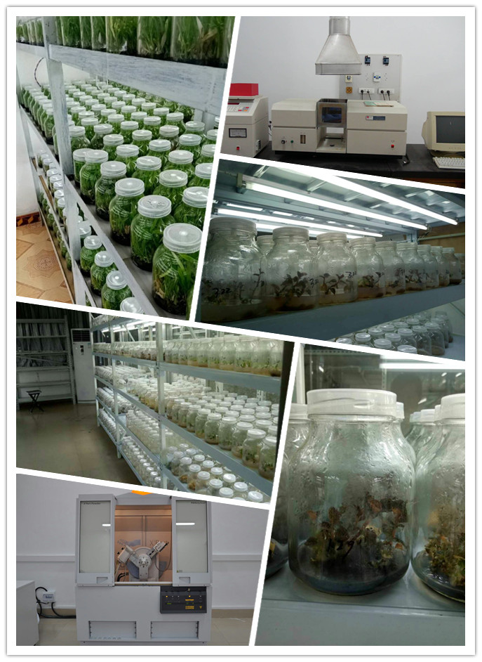 首页| 402cc永利集团中国区官方网站