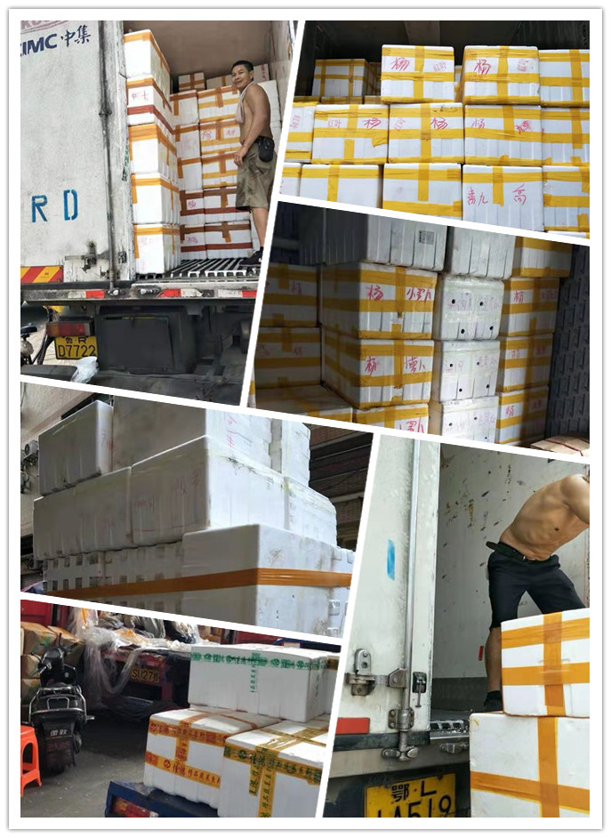 首页| 402cc永利集团中国区官方网站