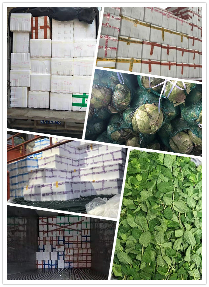 首页| 402cc永利集团中国区官方网站