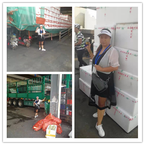 首页| 402cc永利集团中国区官方网站