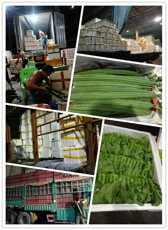 首页| 402cc永利集团中国区官方网站