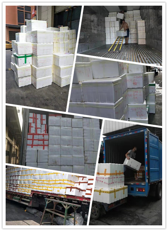 首页| 402cc永利集团中国区官方网站