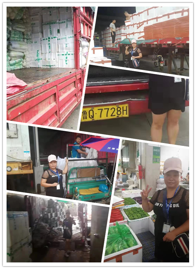 首页| 402cc永利集团中国区官方网站